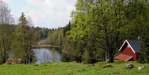 CRW_2498.jpg