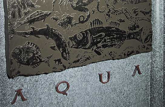 aqua-logo.jpg