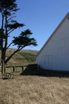 farm1.thumb.jpg